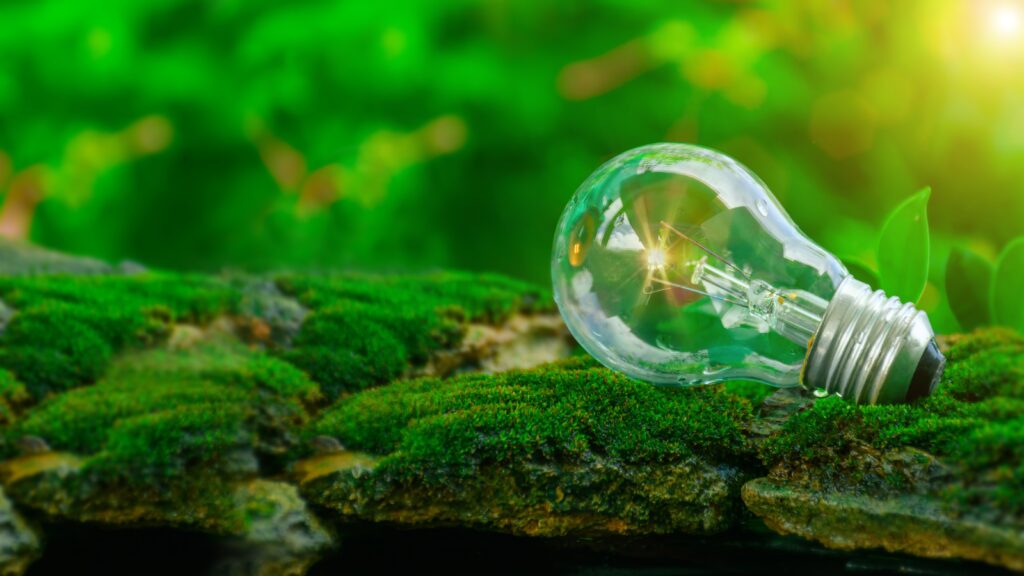 Concepts,Energy,Saving,,Environmental,Protection.,Light,Bulb,On,Natural,Moss