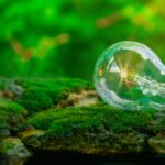 Concepts,Energy,Saving,,Environmental,Protection.,Light,Bulb,On,Natural,Moss